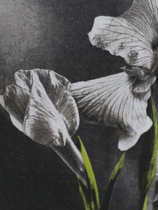 Белая футболка WEEKEND MAX MARA: фото 5 - Invogue