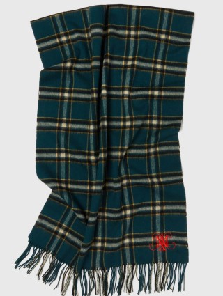 Зелёный платок MAX&CO: фото - Invogue