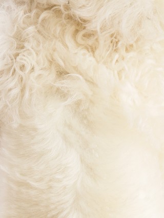 Дубленка THEORY (1744): фото 11 - Invogue