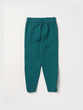 Зеленые брюки EMPORIO ARMANI с логотипом: фото 1 - Invogue