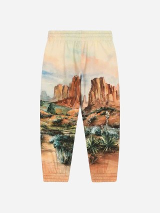 Бежеві штани DOLCE&GABBANA з принтом та кишенями: фото 1 - Invogue