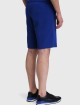 Синие шорты BOSS: фото 4 - Invogue