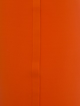 Спідниця MAX MARA (2017): фото 7 - Invogue