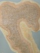 Свитер ACNE (39): фото 8 Свитер ACNE (39): фото 8 - Invogue